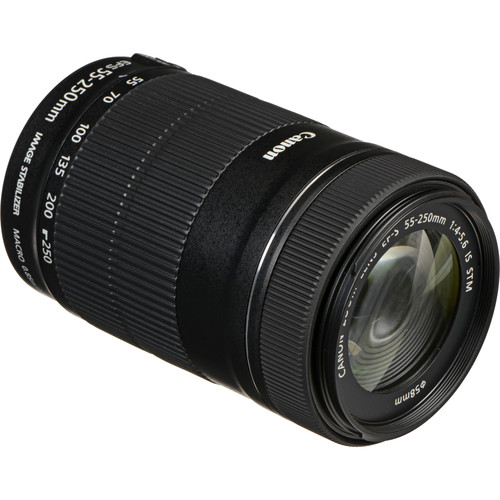 canon 55-250 2