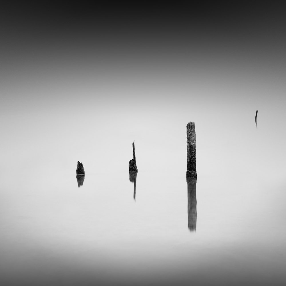 old logs in the water with reflections