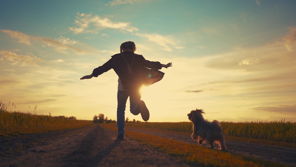 silhouette of a girl running with a shaggy dog at sunset
